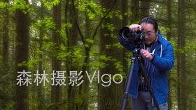 晨意帮忙丨百万保时捷保养时被撞车主索赔5万，4S店只愿送两次保养？